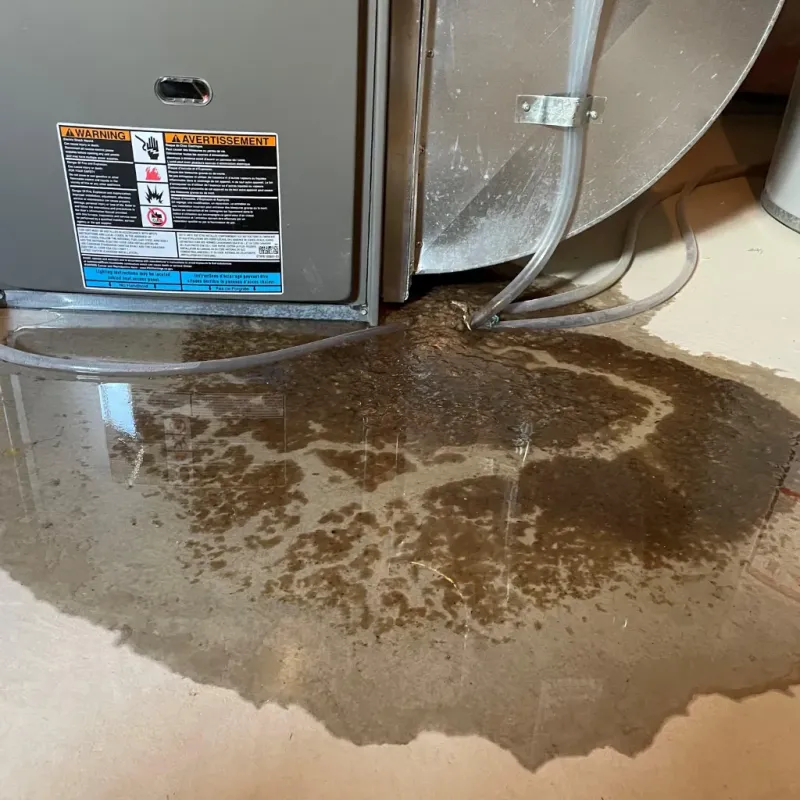 Appliance Leak Cleanup in Swisher County, TX